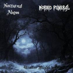 Nocturnal Abyss : Winter Night